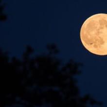 Full Harvest Moon illustration